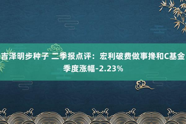 吉泽明步种子 二季报点评：宏利破费做事搀和C基金季度涨幅-2.23%