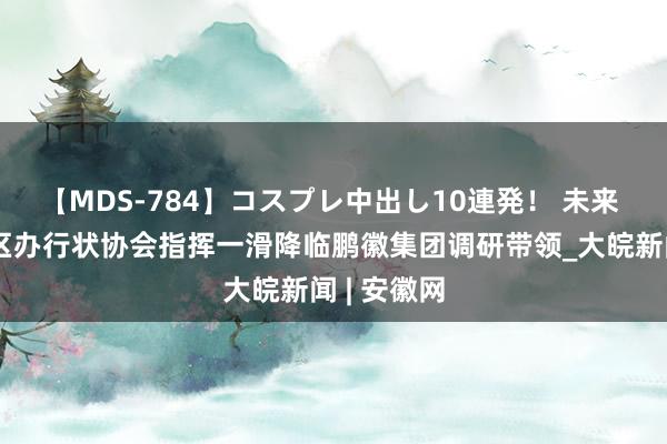 【MDS-784】コスプレ中出し10連発！ 未来 安徽省社区办行状协会指挥一滑降临鹏徽集团调研带领_大皖新闻 | 安徽网