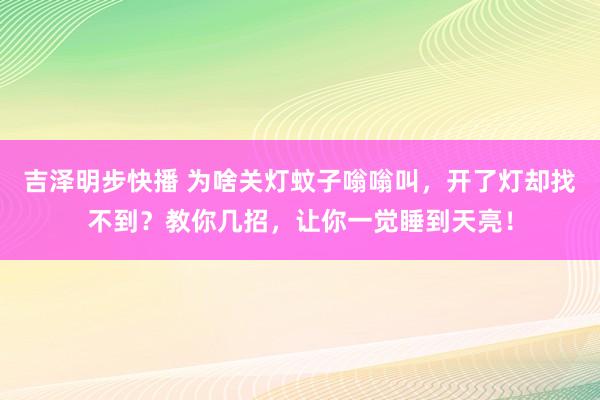 吉泽明步快播 为啥关灯蚊子嗡嗡叫，开了灯却找不到？教你几招，让你一觉睡到天亮！