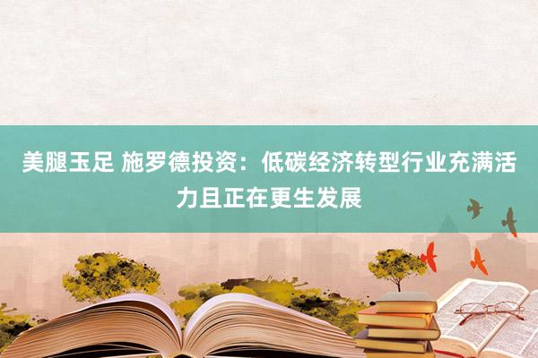 美腿玉足 施罗德投资：低碳经济转型行业充满活力且正在更生发展