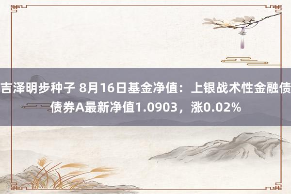 吉泽明步种子 8月16日基金净值：上银战术性金融债债券A最新净值1.0903，涨0.02%