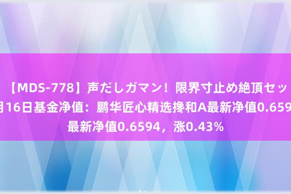 【MDS-778】声だしガマン！限界寸止め絶頂セックス 未来 8月16日基金净值：鹏华匠心精选搀和A最新净值0.6594，涨0.43%