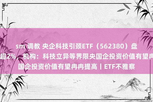 sm 调教 央企科技引颈ETF（562380）盘中溢价，深南电路涨超2%，机构：科技立异等界限央国企投资价值有望冉冉提高丨ETF不雅察