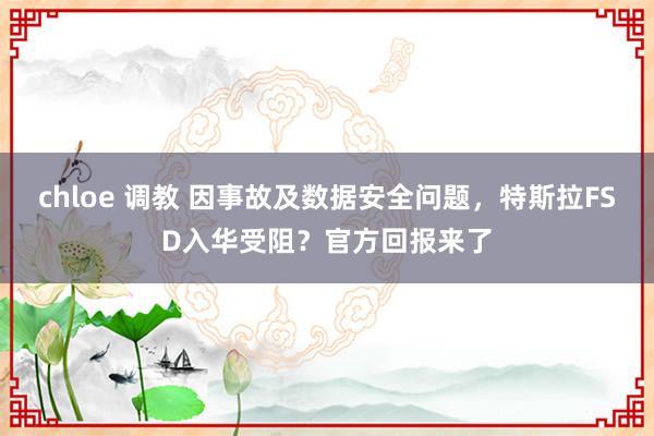 chloe 调教 因事故及数据安全问题，特斯拉FSD入华受阻？官方回报来了