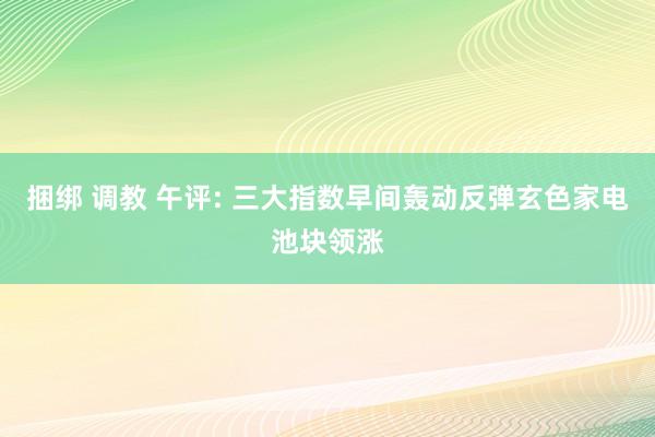 捆绑 调教 午评: 三大指数早间轰动反弹玄色家电池块领涨