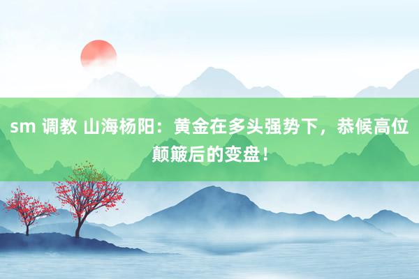 sm 调教 山海杨阳：黄金在多头强势下，恭候高位颠簸后的变盘！