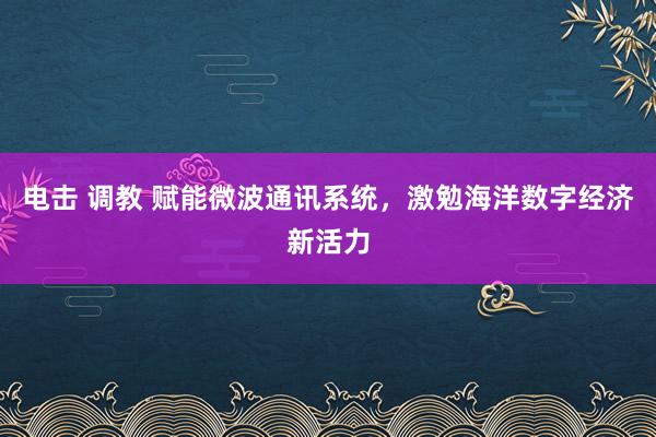 电击 调教 赋能微波通讯系统，激勉海洋数字经济新活力