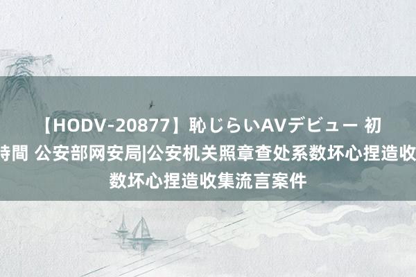 【HODV-20877】恥じらいAVデビュー 初セックス4時間 公安部网安局|公安机关照章查处系数坏心捏造收集流言案件