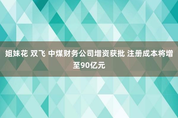 姐妹花 双飞 中煤财务公司增资获批 注册成本将增至90亿元