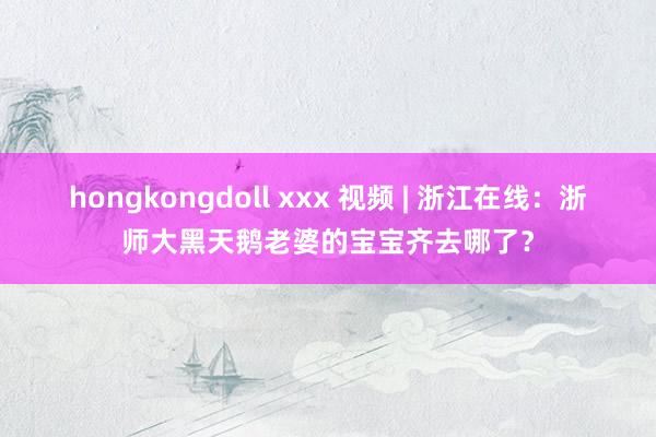 hongkongdoll xxx 视频 | 浙江在线：浙师大黑天鹅老婆的宝宝齐去哪了？