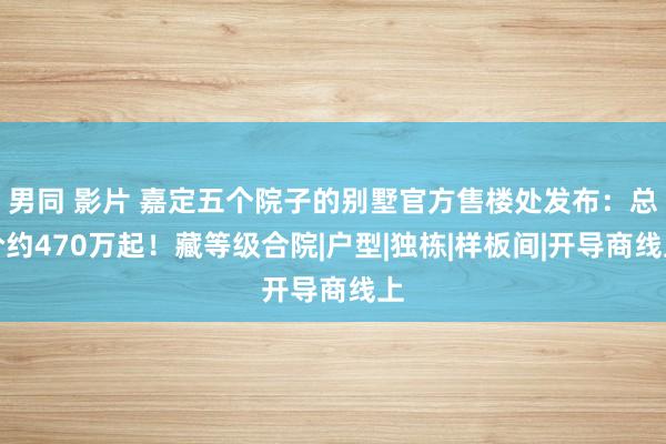 男同 影片 嘉定五个院子的别墅官方售楼处发布：总价约470万起！藏等级合院|户型|独栋|样板间|开导商线上