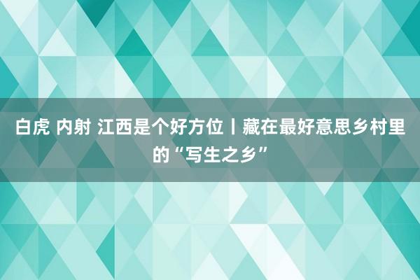 白虎 内射 江西是个好方位丨藏在最好意思乡村里的“写生之乡”