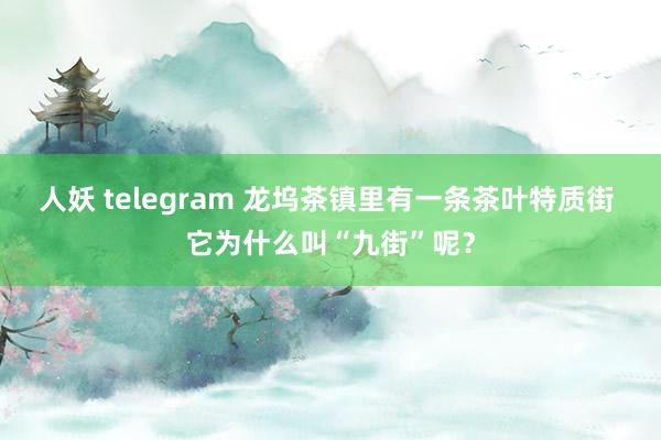 人妖 telegram 龙坞茶镇里有一条茶叶特质街 它为什么叫“九街”呢？