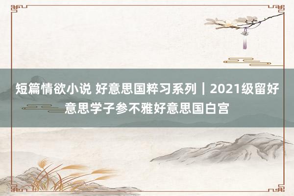 短篇情欲小说 好意思国粹习系列｜2021级留好意思学子参不雅好意思国白宫