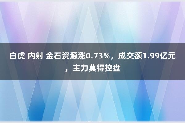 白虎 内射 金石资源涨0.73%，成交额1.99亿元，主力莫得控盘